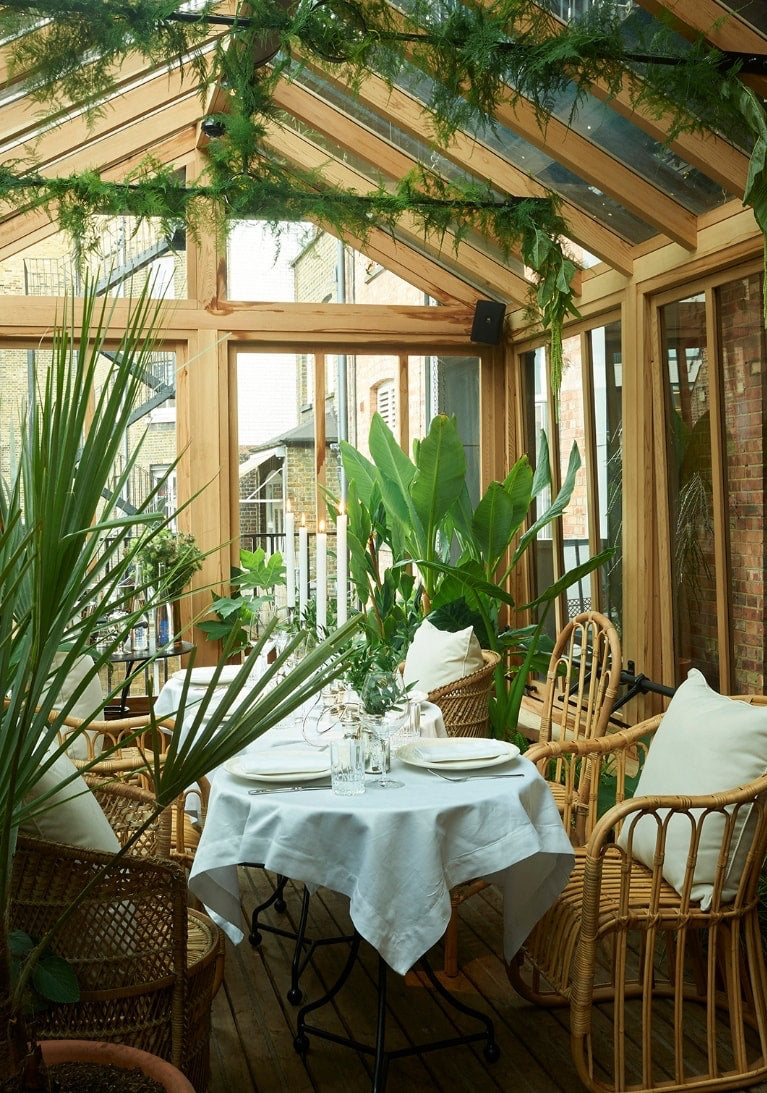 Glass conservatory dining room with rattan chairs and trailing plants at The Mandrake Hotel