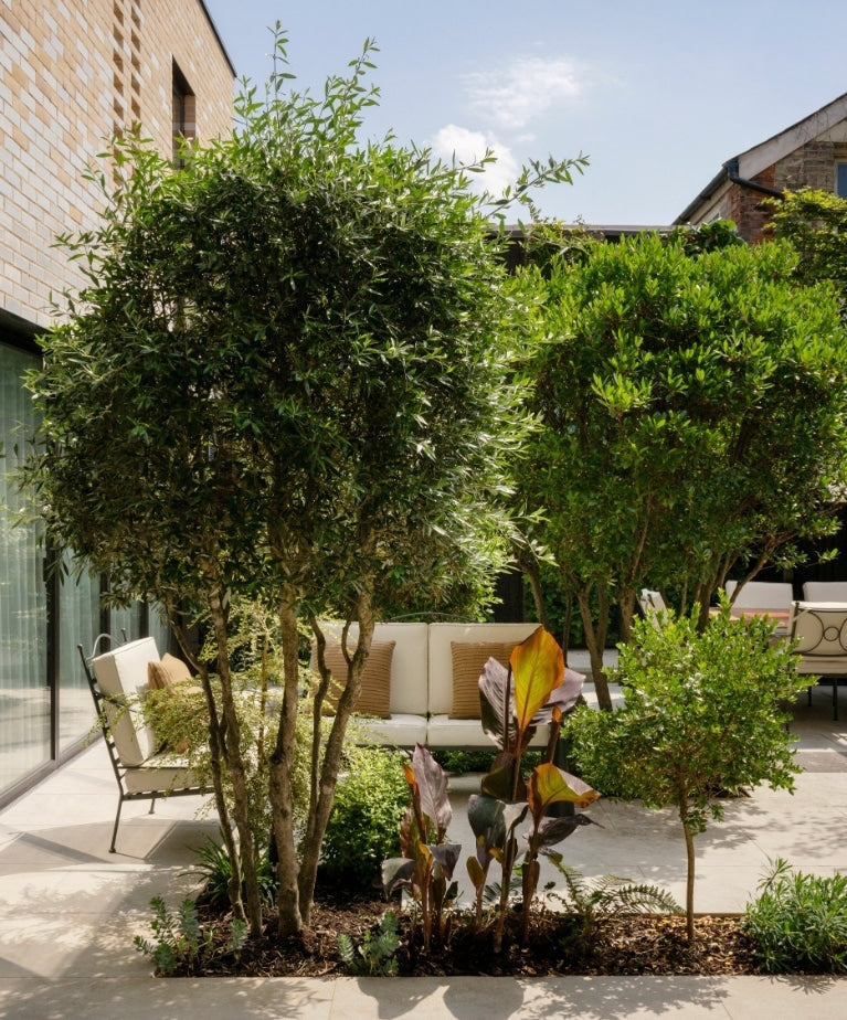 Stone courtyard garden with outdoor seating at the North London warehouse by Tala Fustok Studio